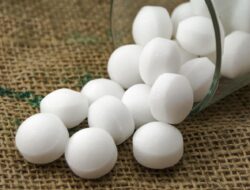 Waspada, Inilah Bahaya Menghirup Kapur Barus!