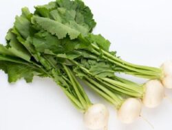 Jangan Anggap Remeh! Inilah Manfaat Daun Lobak Bagi Kesehatan Tubuh