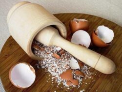 Yang Belum Tahu, Yuk Cari Tahu Manfaat Cangkang Telur!