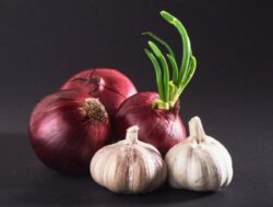 Manfaat Kulit Bawang Merah dan Bawang Putih yang Penting Anda Ketahui