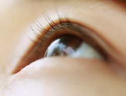 Tips Merawat Kesehatan Mata Jika Terlalu Lama Bekerja di Depan Komputer