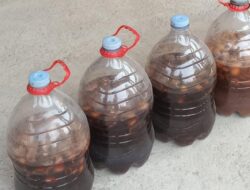 Cairan Ajaib Ezo Enzim Bisa Menjadi Pupuk dan Kesehatan, Yuk Cari Tahu Apa Saja Manfaatnya!