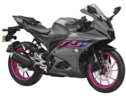 Yamaha YZF-R15 2024 Resmi Meluncur, Cek Spesifikasi dan Harganya