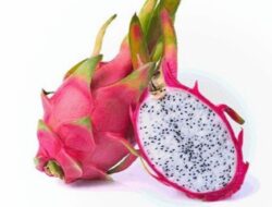 Manfaat Luar Biasa Penggunaan Buah Naga pada Wajah