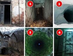 Tes Psikologi: Pintu Mana yang Anda Takut untuk Masuk