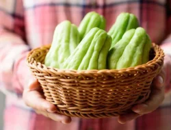 Manfaat dan Nutrisi Labu Siam Bagi Kesehatan yang Penting Diketahui