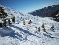 Ingin Berlibur dengan Bermain Ski? Simak Kota dengan Ski Terbaik di Amerika Serikat Disini!