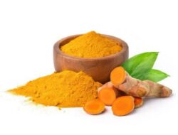 5 Tanaman Obat Paling Ampuh yang Mudah Ditanam Dirumah!