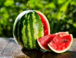 4 Khasiat Kulit Semangka yang Jarang Diketahui