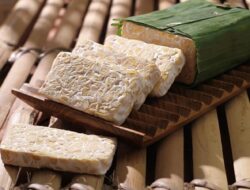 Tempe, Makanan Fermentasi Kedelai yang Menyehatkan!