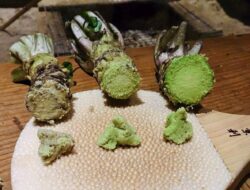 Wasabi, Pasta Khas Jepang yang Rasanya Khas