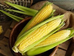 6 Manfaat Jagung Bagi Kesehatan
