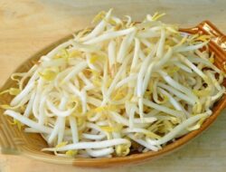 Bagaimana Cara Menyimpan Tauge Agar Tidak Cepat Busuk? Simka Berikut Ini