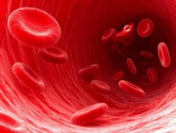 Simak Begini Gejala – Gejala Anemia yang Harus Kita Tahu