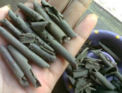 Tradisi Memakan Tanah Di Tuban