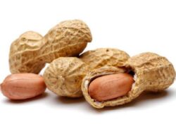 Kacang Tanah Bikin Jerawat, Mitos atau Fakta?