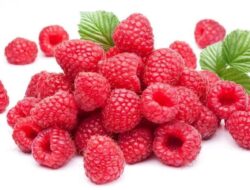 Makanan Sarapan Terbaik untuk Menurunkan Berat Badan