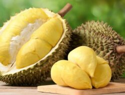 Efek Samping Durian Bagi Kesehatan Jika Makan Terlalu Banyak