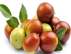 Manfaat Kesehatan yang Luar Biasa Dari Ber (Jujube)