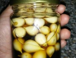Simak Manfaat dan Kegunaan Bawang Putih dan Madu Disini!