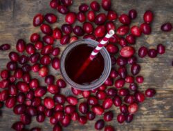 Manfaat Teh Cranberry untuk Kesehatan yang Menakjubkan yang Belum Anda Ketahui