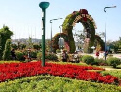 Hal yang Harus Dilakukan Saat Mengunjungi Dalat, Vietnam