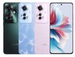 Oppo Reno 115 FG Diluncurkan dengan Layar OLED 120Hz, Tiga Kamera 64MP, Sasis Berperingkat IP65