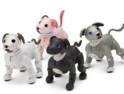 Robot Anjing Sony aibo Espresso AI Diluncurkan di AS, Dilengkapi dengan Paket Cloud 3 Tahun