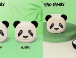 Samsung Merayakan Anak Panda Kembar dengan Edisi Spesial Galaxy Buds 2 Pro