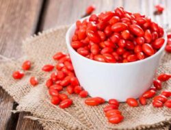 3 Manfaat Goji Berry yang Menakjubkan bagi Kesehatan