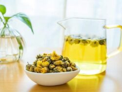 Tanaman Obat Terbaik Untuk Tumbuh Di Rumah