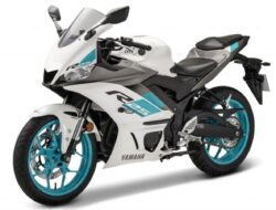 New Yamaha YZF-R25 Resmi Meluncur, Motor Sport Full Fairing, Cek Spesifikasi dan Harganya