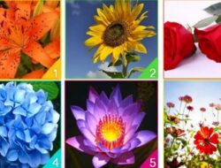 Tes Kepribadian: Bunga Mana yang Mewakili Semangat Anda?