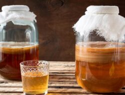 Kombucha: 5 Manfaat Kesehatan Dari Minuman Fermentasi dan Probiotik Ini