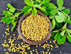 Konsumsi Rempah Herbal Ini untuk Meningkatkan Suplai ASI