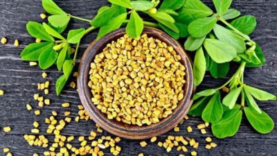 Konsumsi Rempah Herbal Ini untuk Meningkatkan Suplai ASI