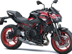 New Kawasaki Z650 2024 Diluncurkan, Cek Spesifikasi dan Harganya