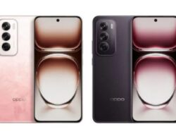 Oppo Reno 12, Reno 12 Pro Diluncurkan, Layar OLED Melengkung, Tiga Kamera 50MP, Segini Harganya