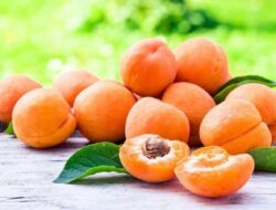 Simak Manfaat Buah Aprikot untuk Kesehatan Mata Disini!