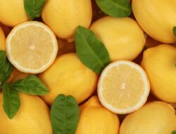 Tips Ahli Memilih Lemon yang Sangat Juicy Setiap Saat