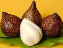 Buah Bersisik ini Miliki Banyak Manfaat Tersembunyi