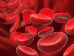 Tips Efektif Meningkatkan Kadar Hemoglobin Secara Alami