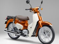 Honda Super Cub 110 2024 Resmi Meluncur, Motor Keluarga Legendaris, Cek Spesifikasi dan Harganya