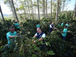 Surveyor Indonesia Kembangkan Program Wanasuka Berdaya, Ini Bentuk Kegiatannya