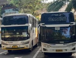 Ingin Menjelajahi Jawa – Bali Jalur Darat? Sekarang Bisa Naik Damri, Cek Jadwal dan Tarifnya