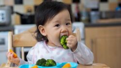 Simak Beragam Manfaat Sayuran Brokoli untuk Anak
