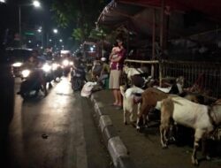 Bolehkah Menyembelih Kurban pada Malam Hari?