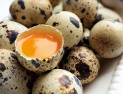 Simak Manfaat Telur Puyuh untuk Menu MPASI Bayi Anda Disini