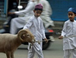 Adab Ketika Menyembelih Hewan Qurban