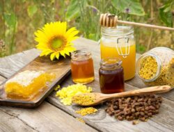 Manfaat Royal Jelly untuk Kesehatan